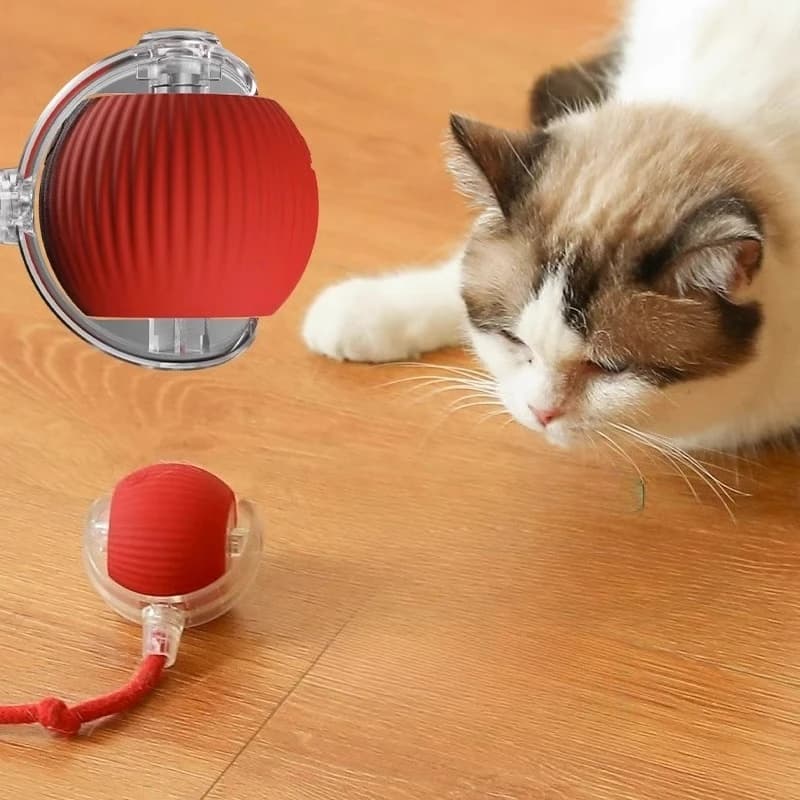 Self Play Pet Thud Jumping Teaser Ball Durable Rope Chew Ball Interactive Entertainment Toy for Dogs Cats