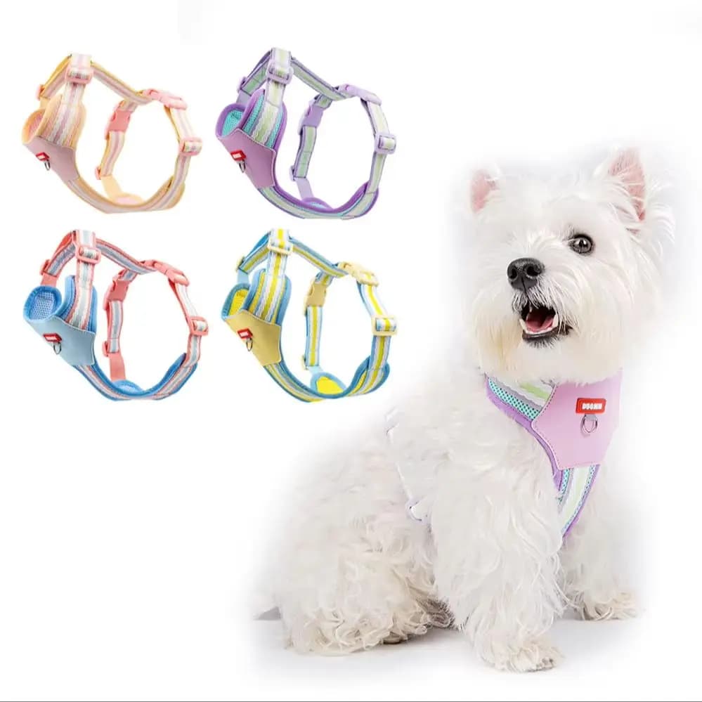 Dopamine Color Striped Dog Harness&Leash Set Anti-pull Adjustable Pet Walking Vest Harness For Small Medium Dogs Cats Outdoor