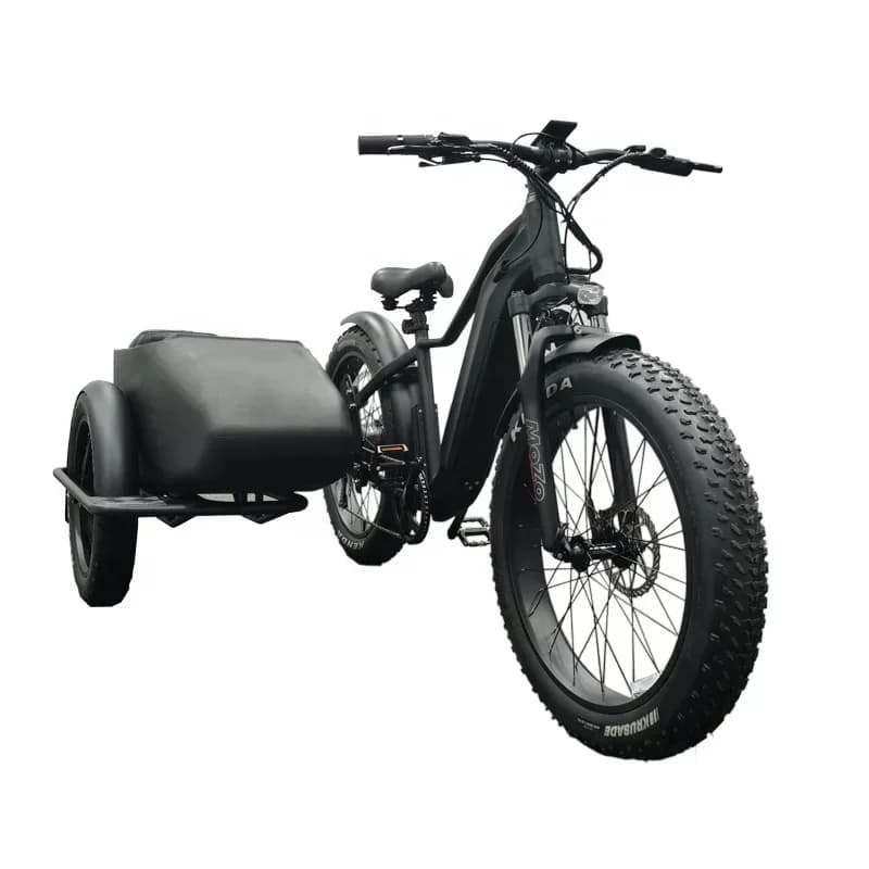 Bici Lato Auto Per Adulti Triciclo Elettrico Bicicletta 3 Ruote Ebike Elettrico Cargo Trike 750w Batteria Al Litio Nascosta Etrike Sidecar