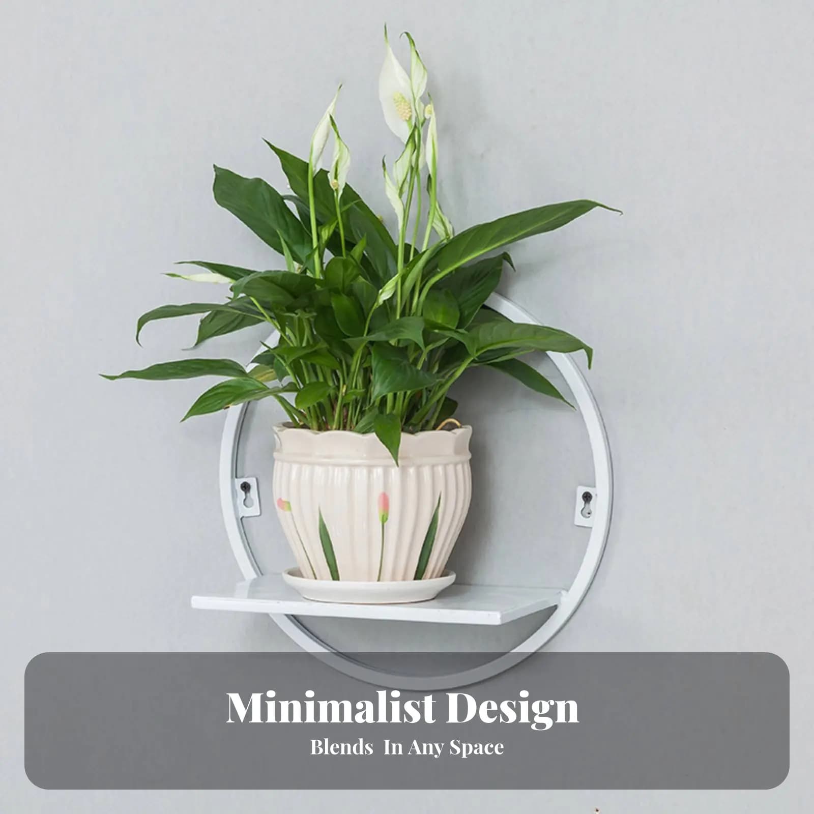 Semicircular vases with Hooks, Easy to Install, Interior Decoration Space, Living Room