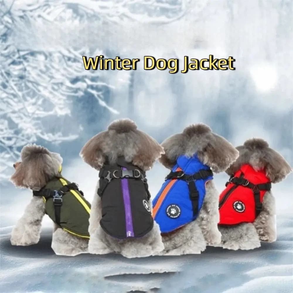 Piumini per cani regolabili impermeabili Addensare Cappotto per cani antivento con imbracatura Vestiti caldi per cani invernali da esterno