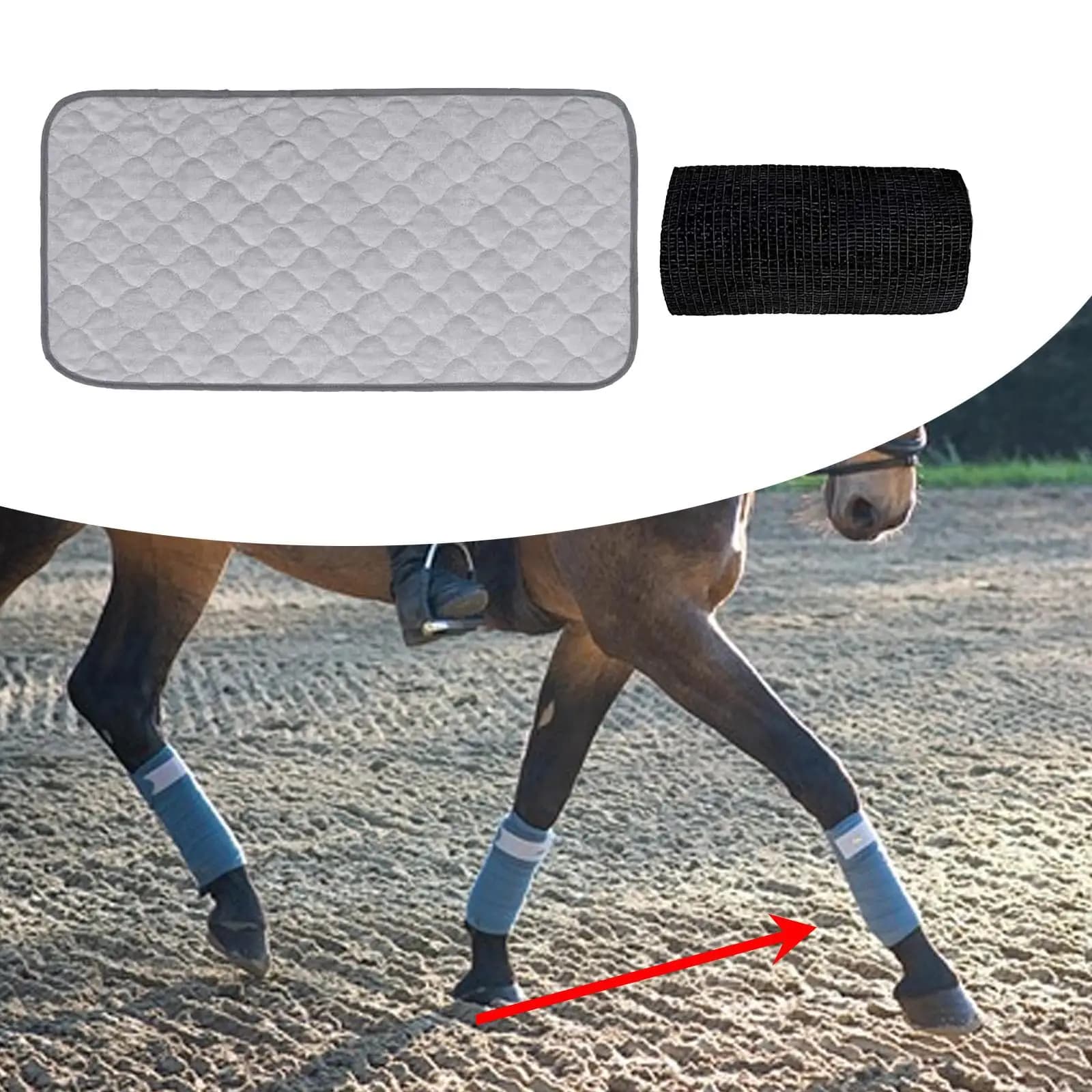Attrezzatura Equestre per Esterni: Protezioni Morbide in Cotone per Zampe di Cavallo, Supporto Ammortizzante per Allenamento ed Escursionismo