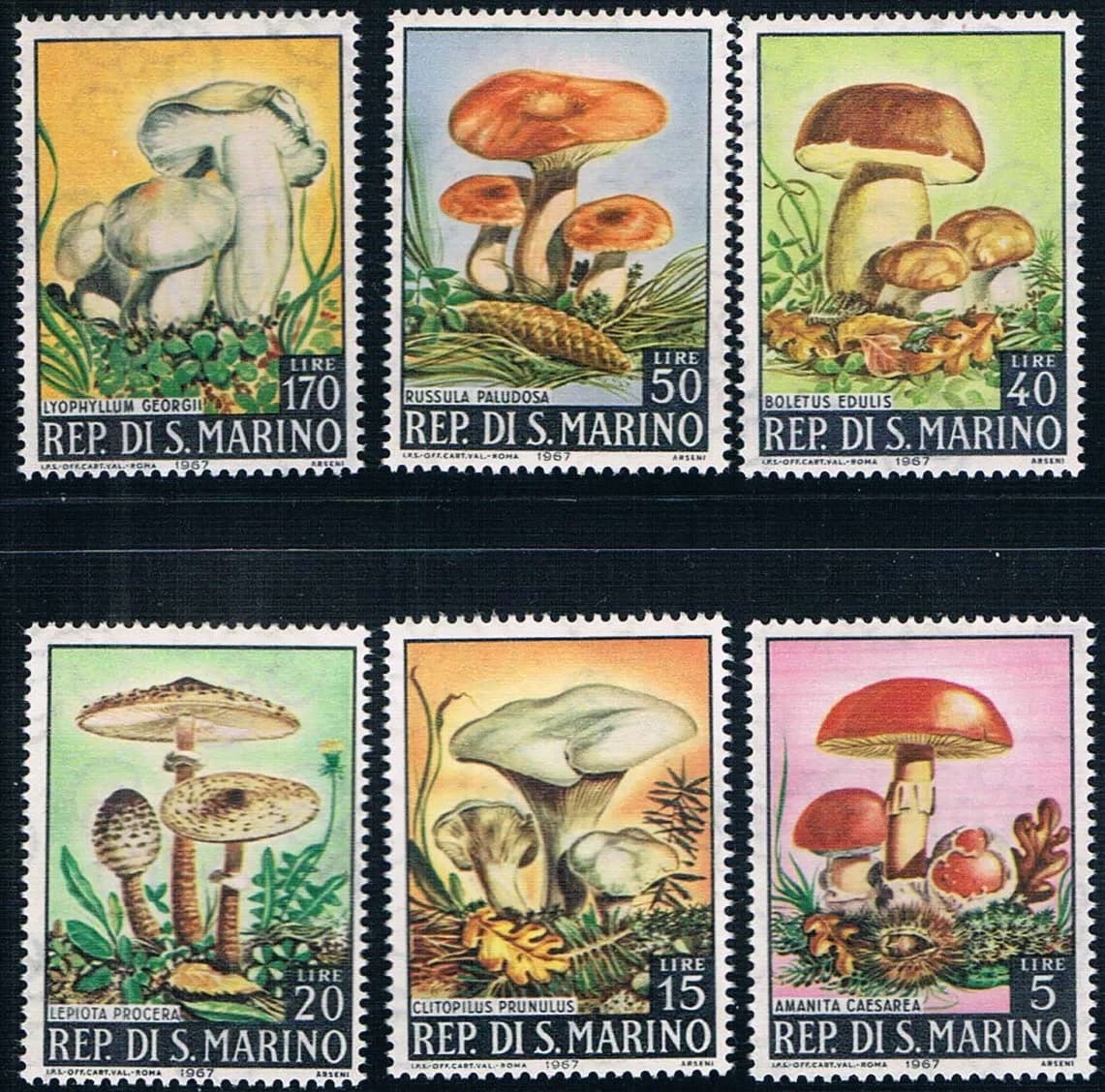6Pcs/Set New San Marino Post Stamp 1967 Mushroom Stamps MNH