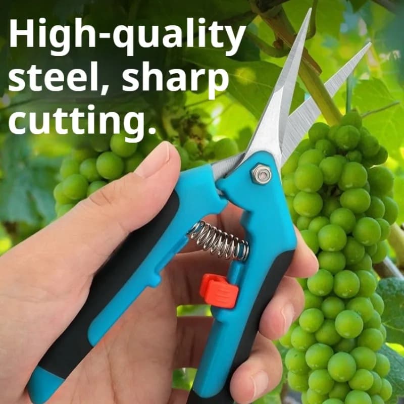 Stainless Steel Garden Scissors for Floral Compositions, Uva Collection, Power, Cut Plants in Vase, Gardening Tool