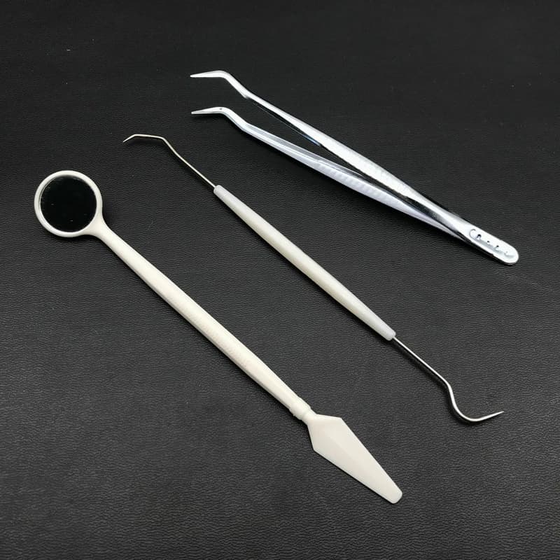 Kit di strumenti per la pulizia dei denti 3 pz/set Kit di strumenti per la pulizia dei denti
