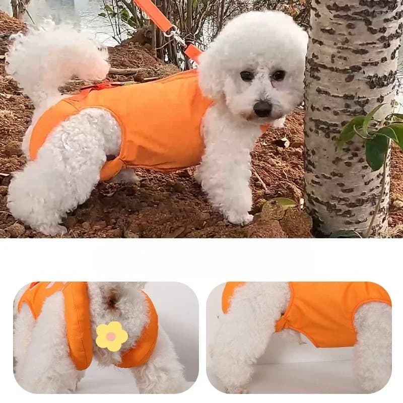 Imbracatura di Sollevamento per Cani Anziani Disabili, Imbracatura di Supporto Imbottita per Artrite, Lesioni Articolari, Ausilio per la Riabilitazione degli Animali Domestici