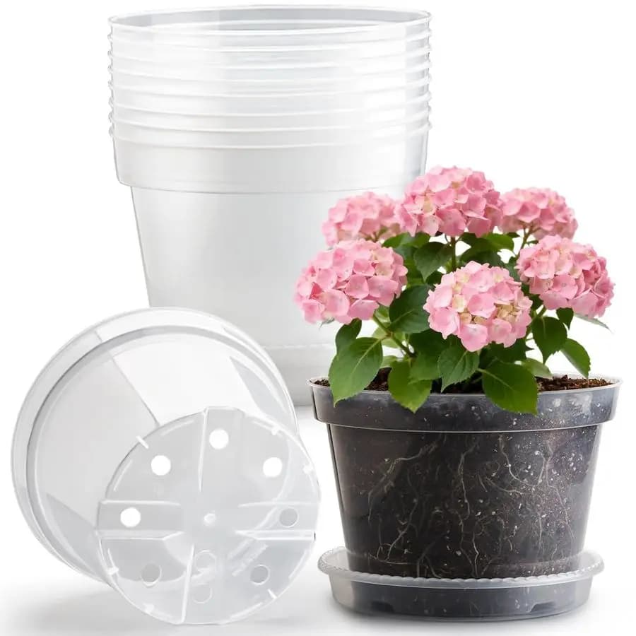 Confezione di 10 Vasi da Vivaio Trasparenti da 10 Pollici con Sottovasi, Vasi per Piante in Plastica Robusta, Grandi Vasi da Giardinaggio con Foro di Drenaggio