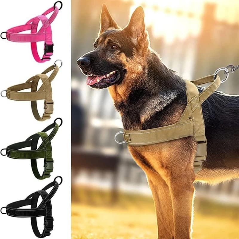 Imbracatura da passeggio per cani Nopull con gancio per corda Accessorio da passeggio per fascia toracica per allenatore B03E
