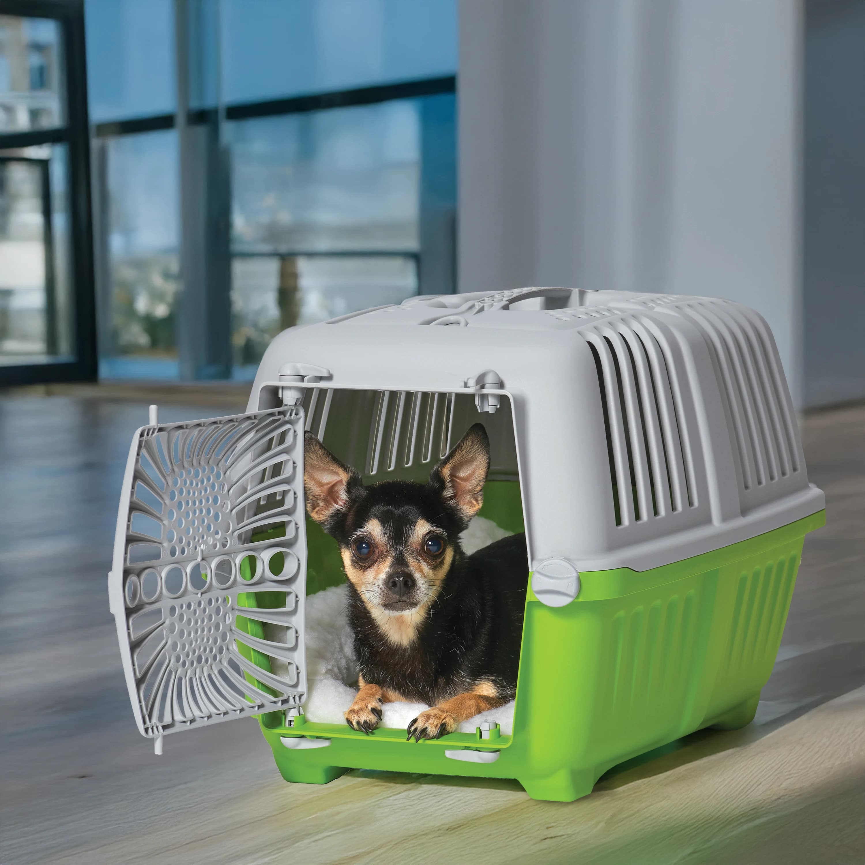 19 inch Spree travel pet carrier for dogs or cats featuring plastic door in green color