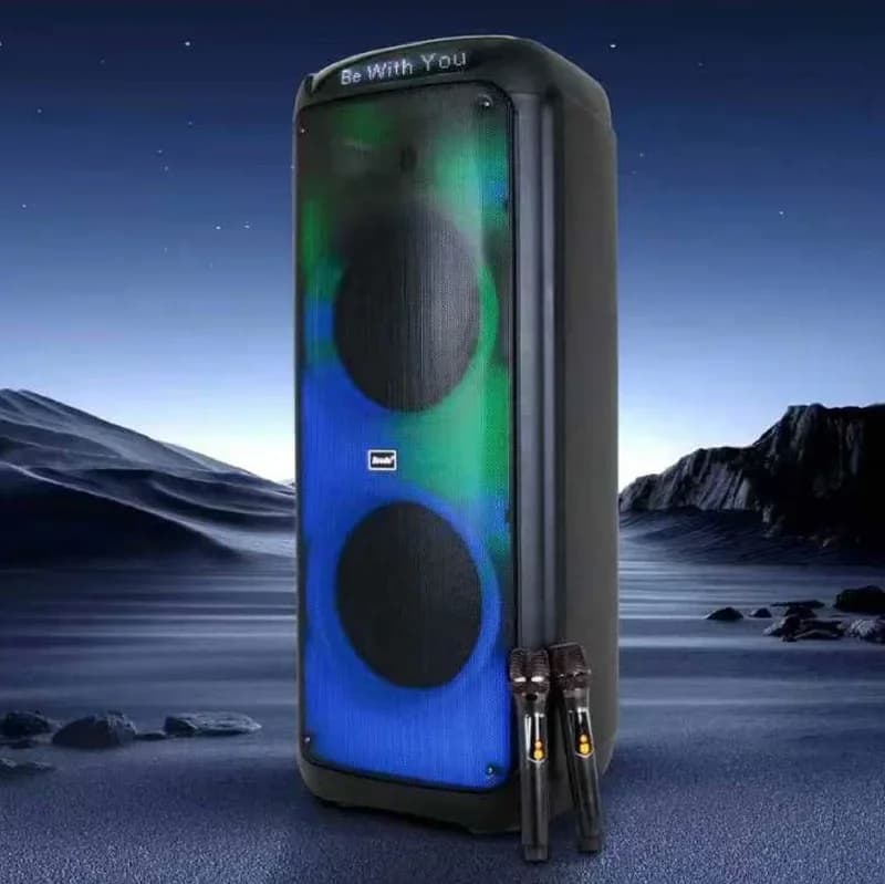 Altoparlante Karaoke Bluetooth Doppio da 12 Pollici, Speaker Portatile USB per DJ e Feste con Microfoni, Luce RGB, Alta Potenza 150W, Modello BTS-2125