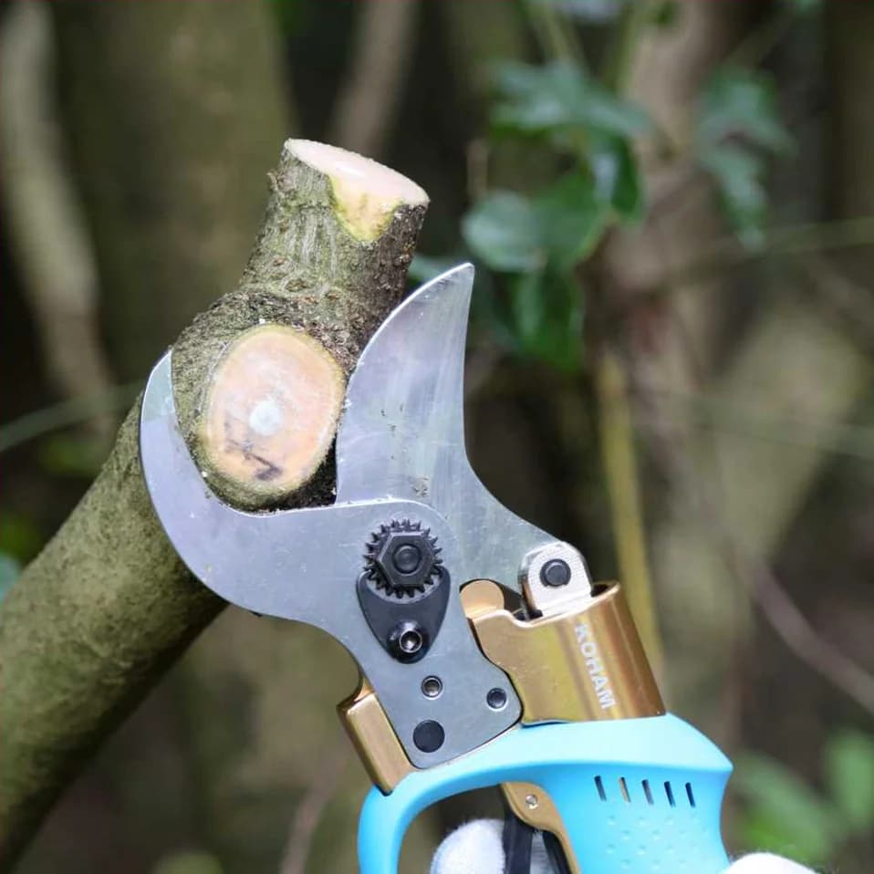 Electric Scissors for Powering, Manual Tools Bypass, Vine Scissors, Power Scissors, Flower Scissors