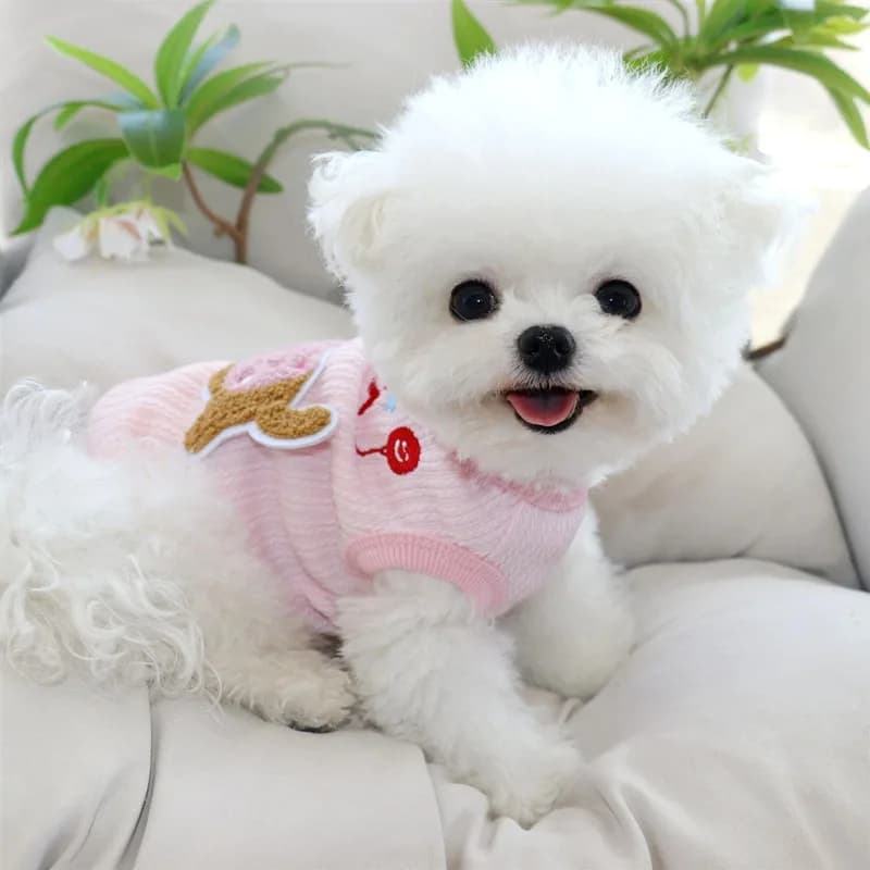 Vestiti per cani modello bassotto Estate Nuovo simpatico gilet per cani cucciolo con fibbia al guinzaglio Teddy Camicia pullover a due gambe XS-XL