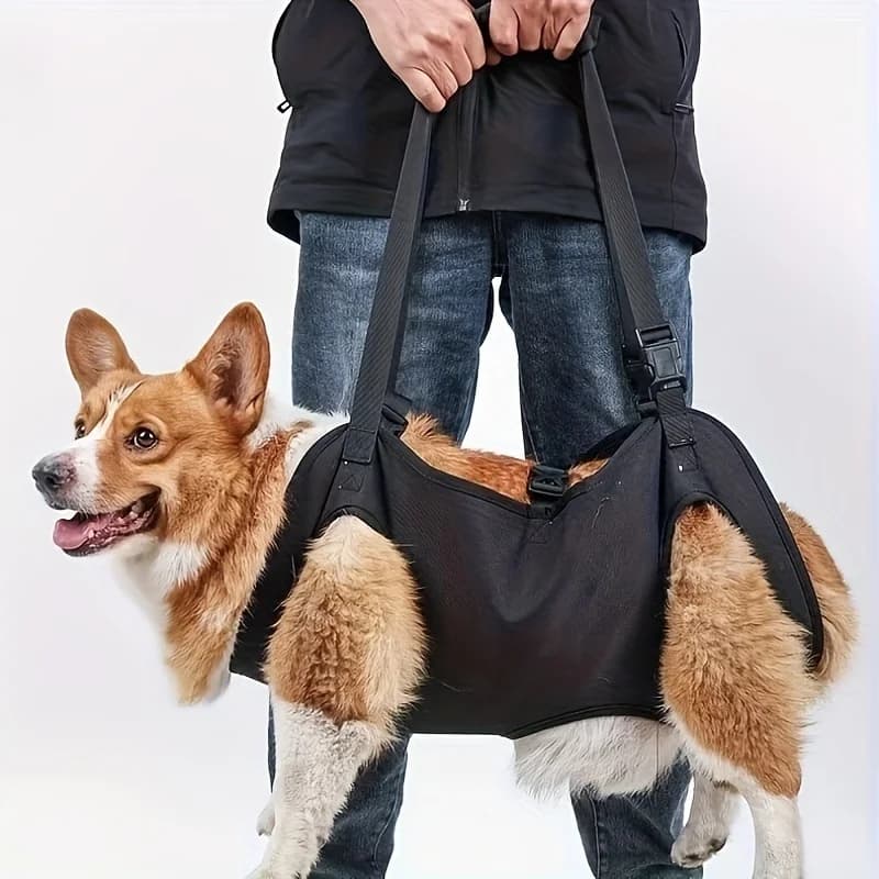 Pettorina di supporto per cani regolabile lavabile in lavatrice per cani anziani e disabili - Cintura di assistenza per animali domestici per esercizi di arrampicata.