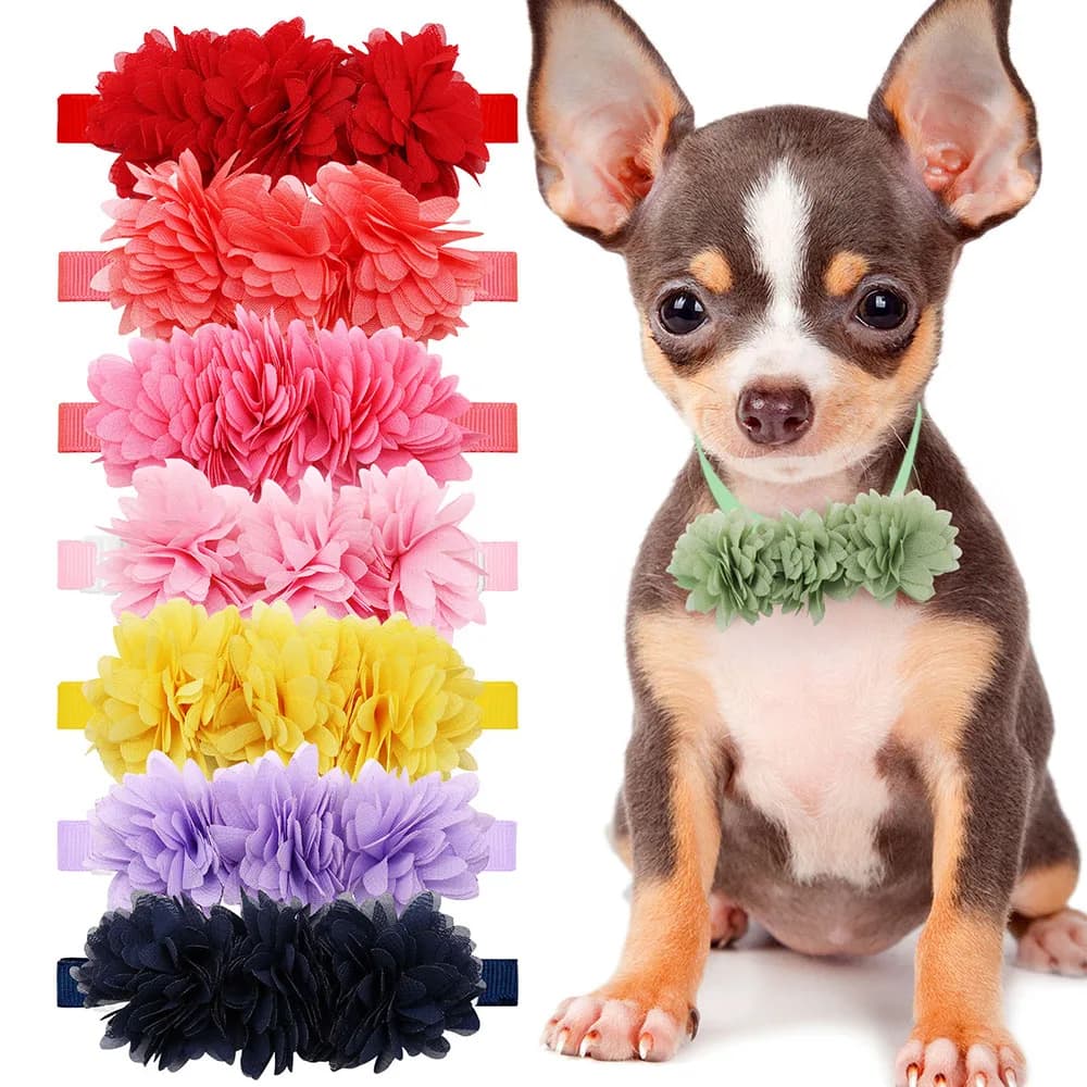 40pcs Fashion Small Dog Cat Bowties Chiffon colorful Dog Grooming papillon collare per cani animali domestici accessori per la toelettatura