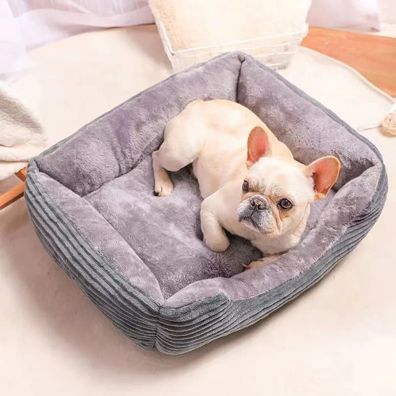 Canine bed and mat for all seasons, warm winter nest for small dogs, medium and large, cozy cot for pets
