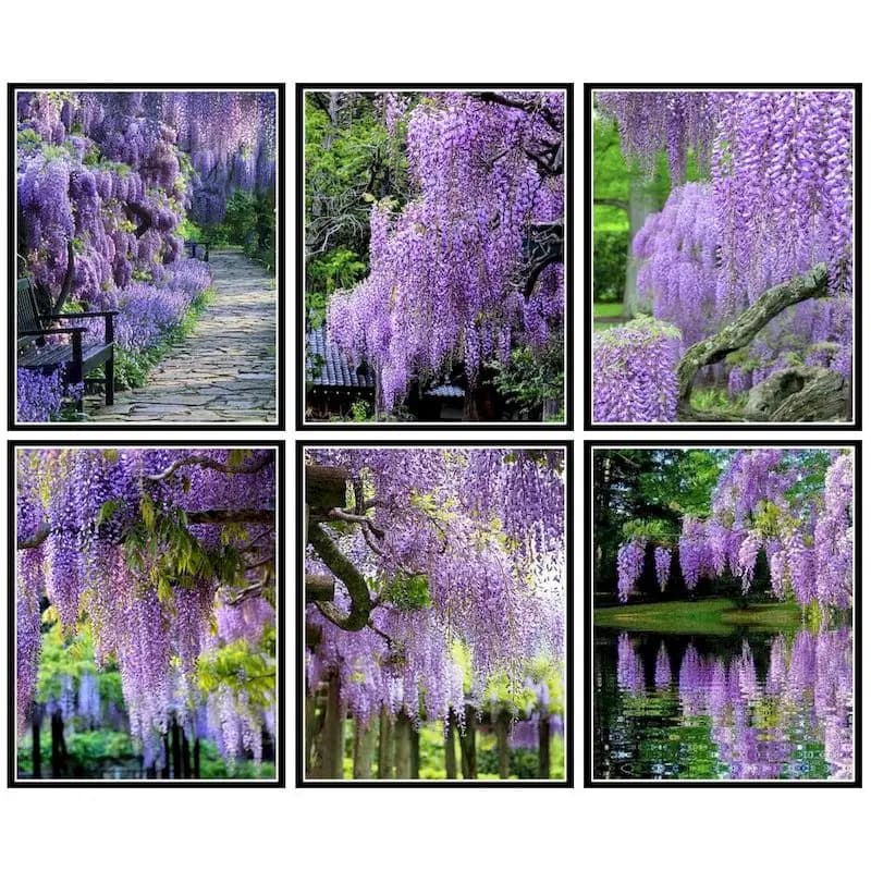 1pc frameless Oil Painting By Number For Adults Purple Flower Tree Landscape Kits Picture By Numbers Acrylic Paint Home Decorati