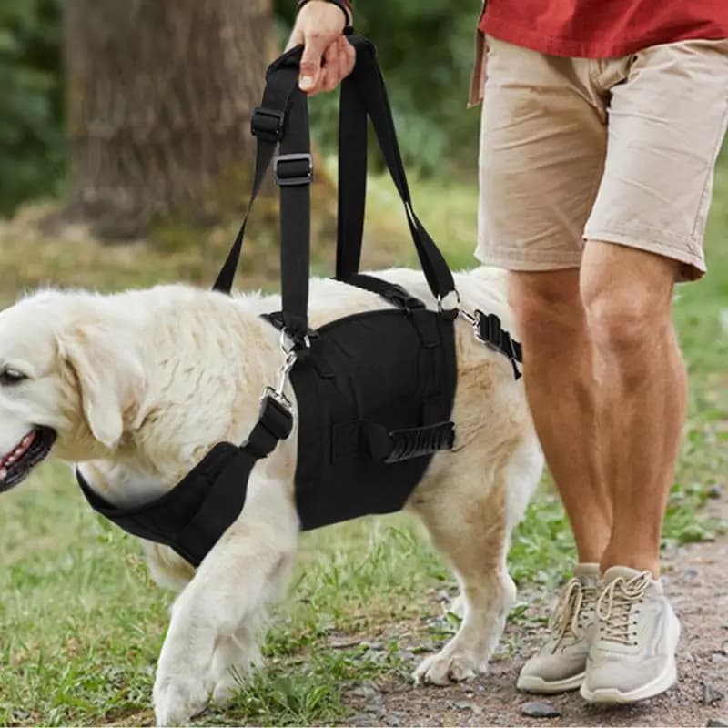 Pettorina per cani con manico imbracatura per gilet per cani regolabile con manico pettorina per gilet per cani con impugnatura di controllo imbracatura per animali domestici senza strozzamento per