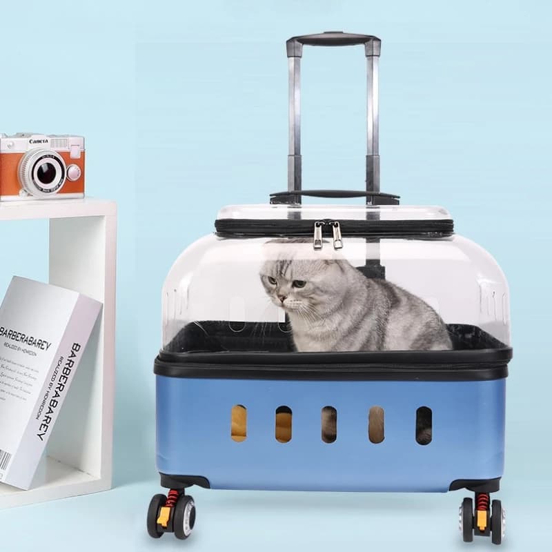 Zaino trasportino per animali domestici trasparente Trolley per cani portatile Comodo gabbia da viaggio per gatti traspirante Custodia da volo alla moda con ruote