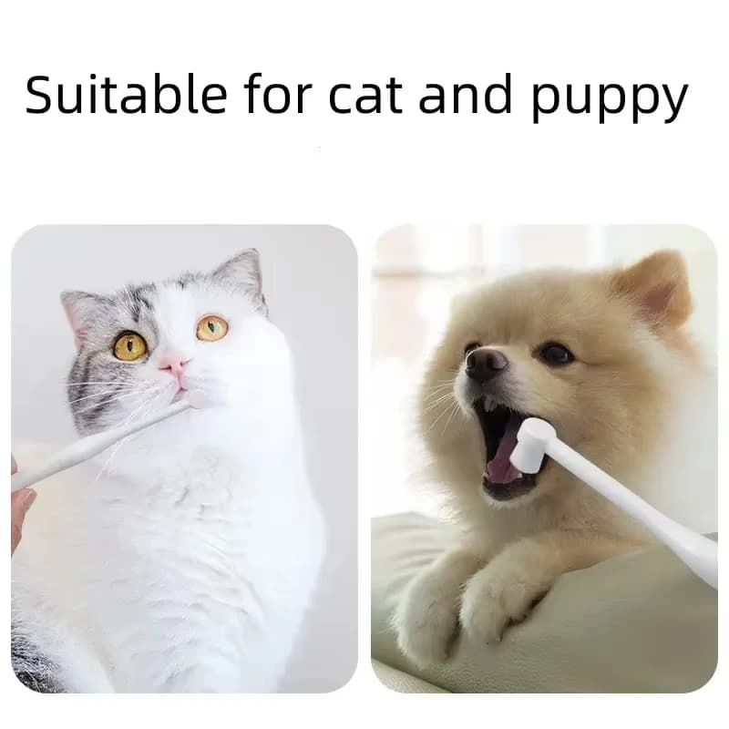 Spazzolino per Animali Domestici a Testa Rotonda, Rimuove Alito Cattivo e Tartaro, Cura dei Denti, Spazzola Morbida per Cani e Gatti, Pulizia Orale, Accessori per la Pulizia degli Animali