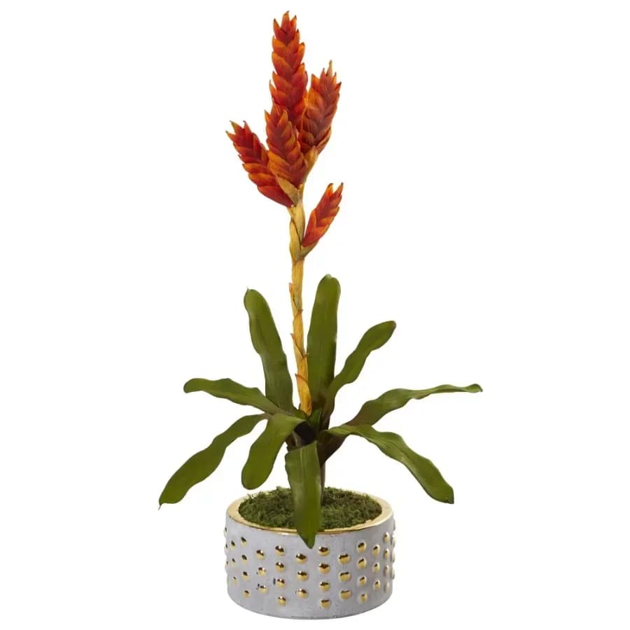 24in. Tropical Bromeliad Artificial Plant in Bowl with Gold Trimming