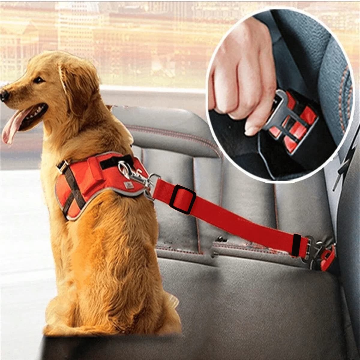 Cintura di Sicurezza Regolabile per Animali Domestici - Guinzaglio Elastico Resistente per Cani, Comodo Seggiolino Auto per Animali, Cuscino per Sedile Auto per Animali