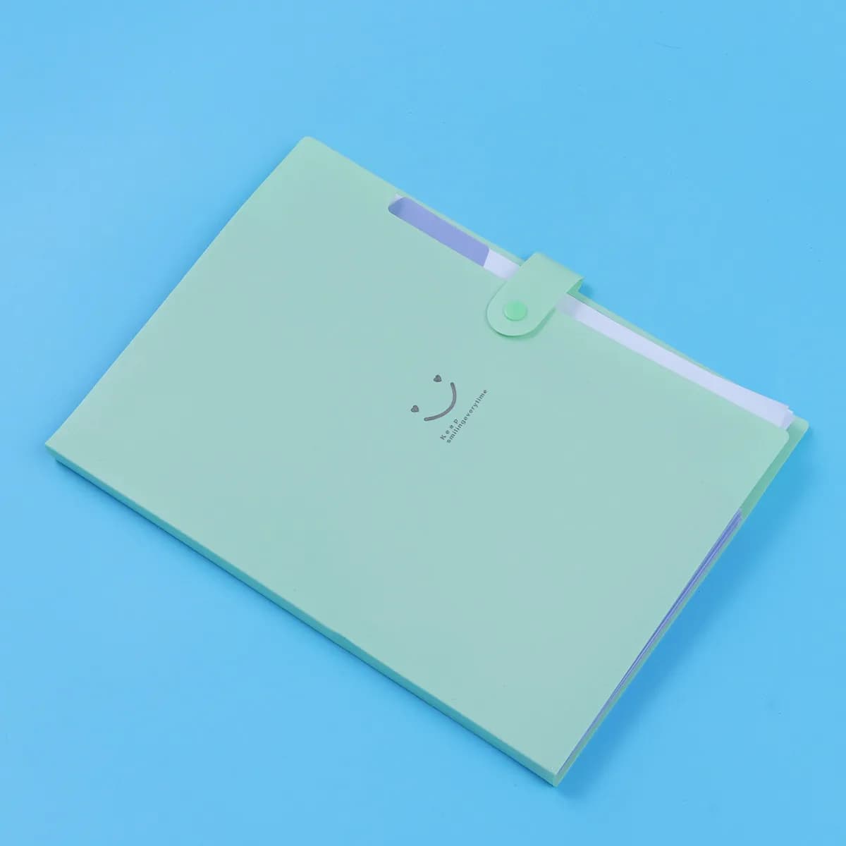 Accordion Organizer Portable Document Storage Office File Folder Halloween Christmas New Year Document File Folder Pocket