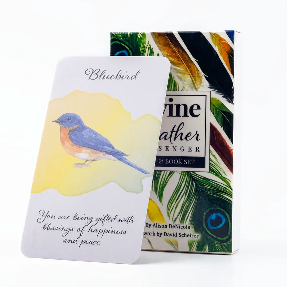 Divine Feather Messenger Tarocchi Oracle Cards 44 Uccelli Simbolo ed Energia 10.3x6CM Divinazione Destino Lettura e Gioco da tavolo