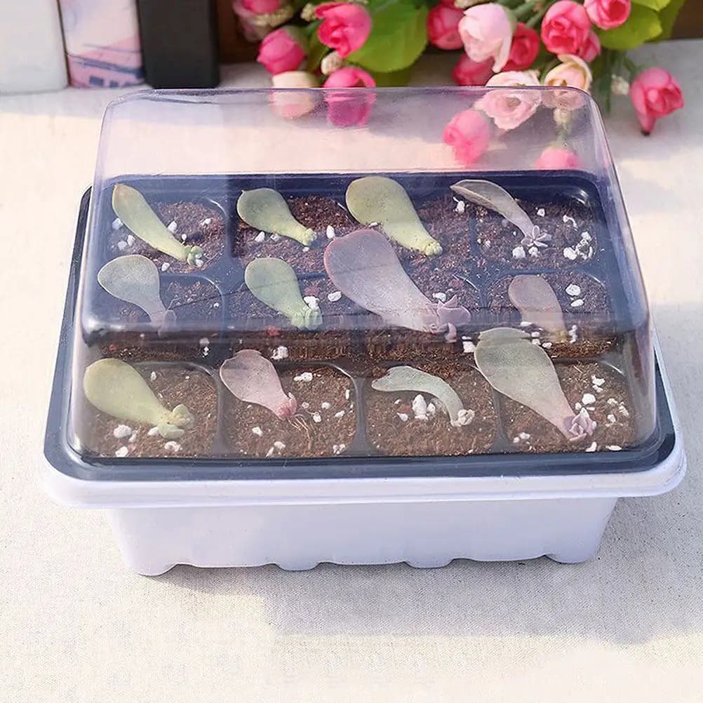 Set di 6 Vassoi Premium per Germinazione, Leggeri e Compatti, per Piante Succulente, Ortaggi e Fiori