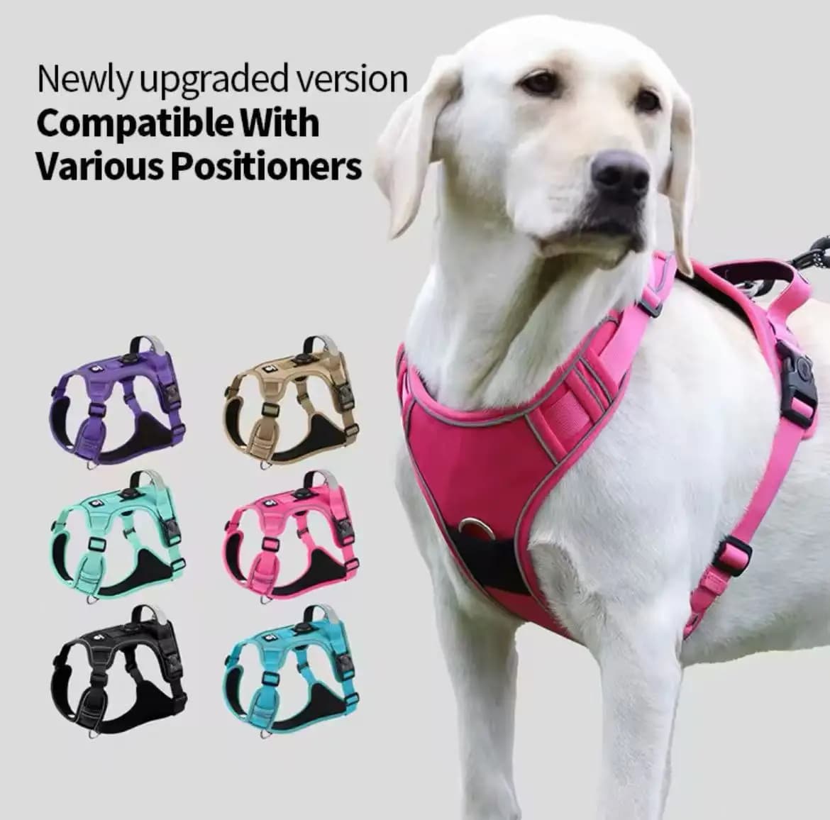 Pettorina per cani adattabile per pettorina Airtag, guinzaglio per cani per prevenzione perdita di addestramento all'aperto