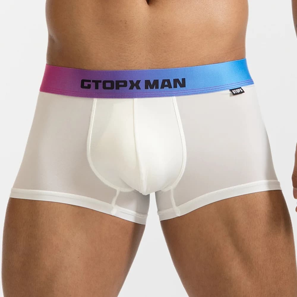 Fashion Sexy Men's Underwear Summer Silk Ice Shorts Breathable Boxer Cuecas Masculina Calzoncillos Shorts Fast Drying