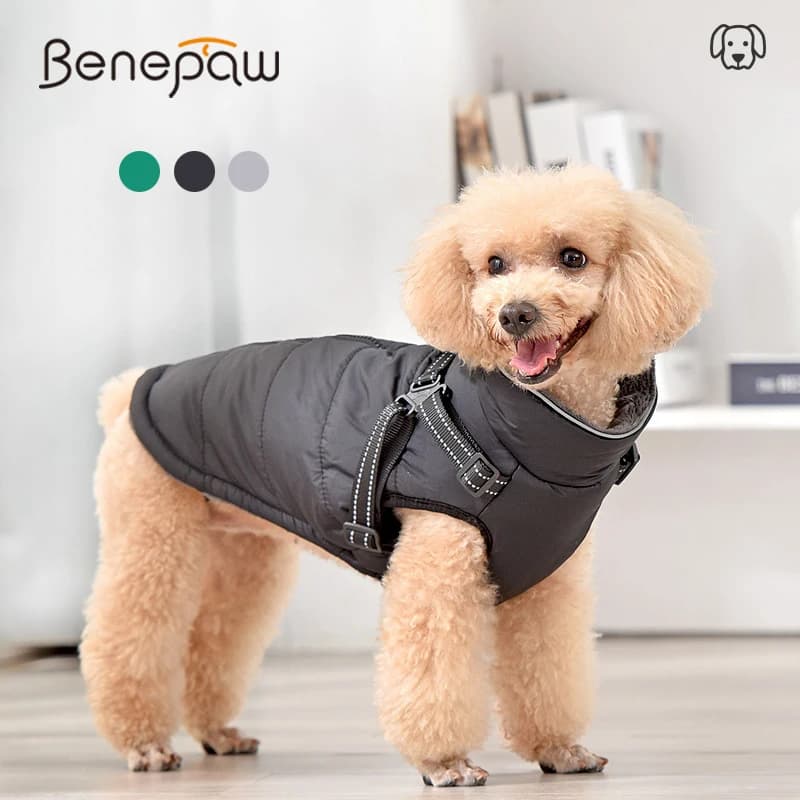 Benepaw Warm Dog Coat Winter antivento riflettente Pet Clothes dolcevita impermeabile Harness Jacket per cani di taglia piccola e media