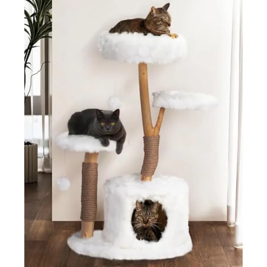 42 Albero per Gatti Moderno ed Estetico a Forma di Nuvola per Gatti da Interno con Rami in Legno Massello, Letto Superiore, Postazione Laterale, Ampia Cuccia e Tiragraffi
