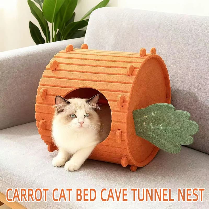 B Carrot Cat Villa Tiragraffi in Feltro Resistente all'Usura, Cuccia Rimovibile per Gatti e Gattini, Adatta a Tutte le Stagioni
