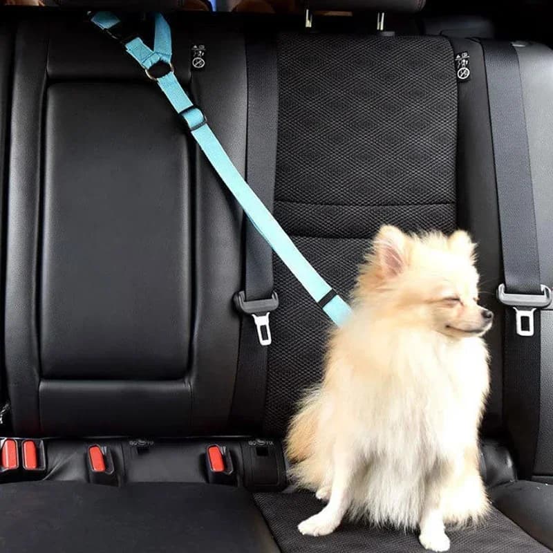 Corda di trazione per esterni Prodotti per cani Cintura di sicurezza per auto per animali domestici Cintura di sicurezza per cani Guinzaglio per cani Cinture di trazione Ammortizzazione Corda di sicurezza elastica