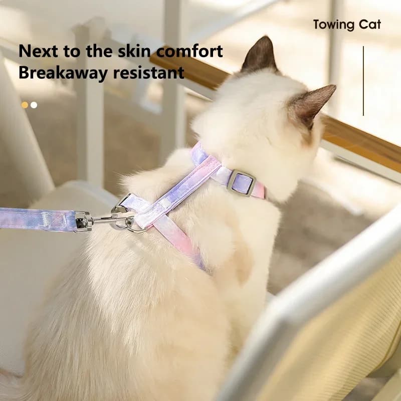 Adjustable Cat Harness and Leash Set Pet Dog Cat Vest for Small Medium Large Dogs Rope Set Pug Outdoor Walking Lead