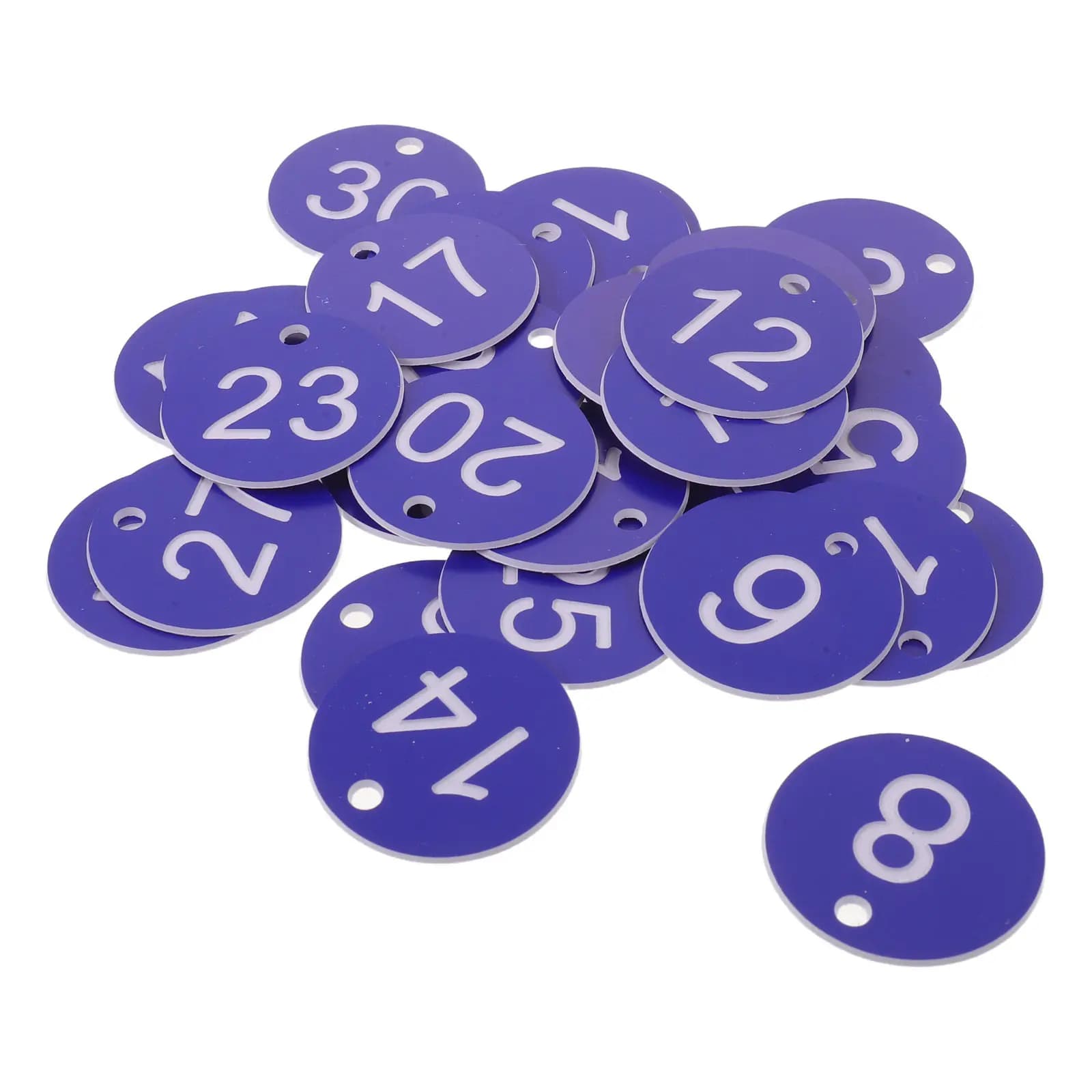 30 Pcs Round Number Tag Identification Tags Keychain Labels Hanging with Numbers Without Rings Locker