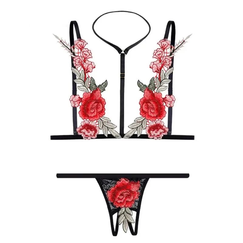 Lingerie da donna in pizzo trasparente, set di slip con ricami delicati, reggiseno push-up e perizoma.
