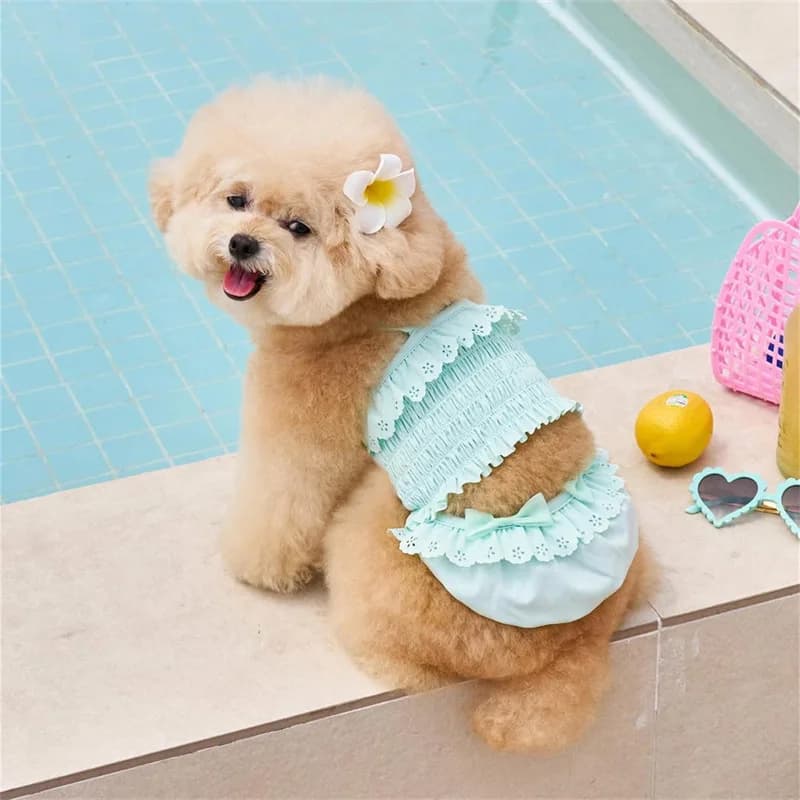 Pet Summer Swimsuit 1/Set Clothes+swim Cap Cat One-piece Camisole Dress Dog Vest Swimsuit Dog Dresses for Small Dogs