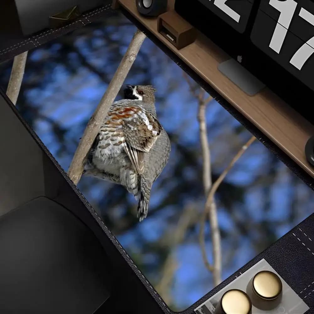Tappetino per mouse XXL con pappagallo naturale in piedi, accessori da gaming, tappetino da scrivania per tastiera, antiscivolo, per laptop