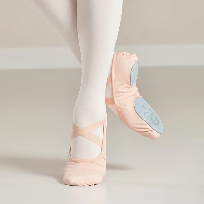 Scarpe da balletto con suola morbida e grande divisa per ragazze e donne Pantofole da ballo in tela alta elastica 2026 Nuovo trasporto di goccia all'ingrosso