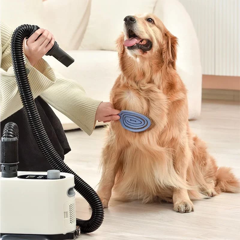 HEYBO PET Professional Safely Electric Adjustable Speed and Temperature Control Pet Dog Hair Dryer Machine