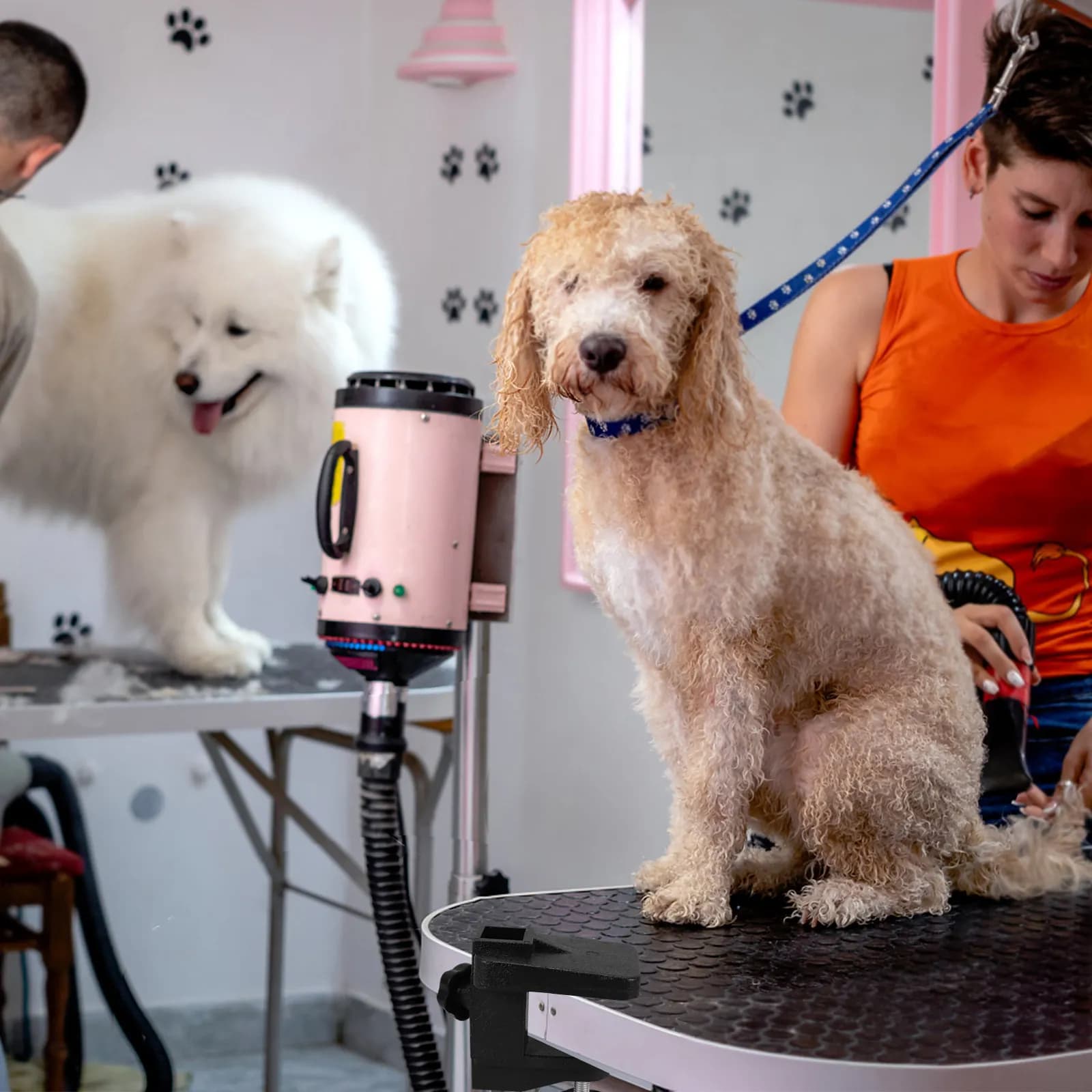Morsetto per Tavolo da Toelettatura per Animali Domestici, Nero, Robusto, in Metallo, Clip di Fissaggio per Asta di Sospensione, Accessorio Sicuro per Braccio del Tavolo da Toelettatura per Cani