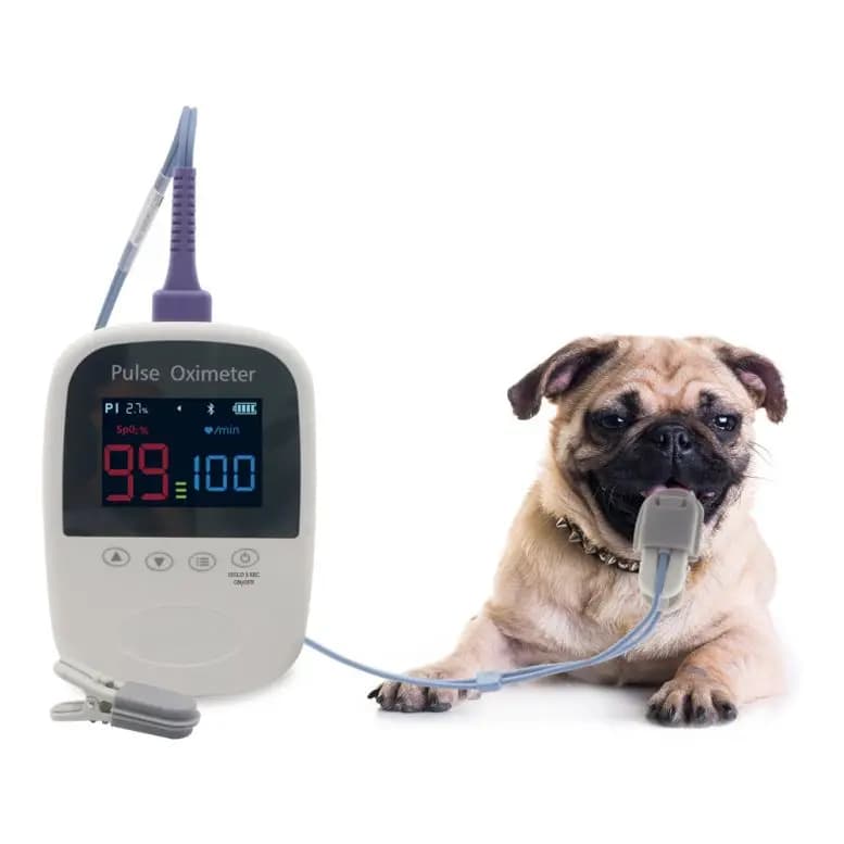 VET/Oximeter Digital Portable Veterinary Pulse Oximeter for Dogs and Veterinary Cats/Pulsossimeter for Animal Language MSLV96