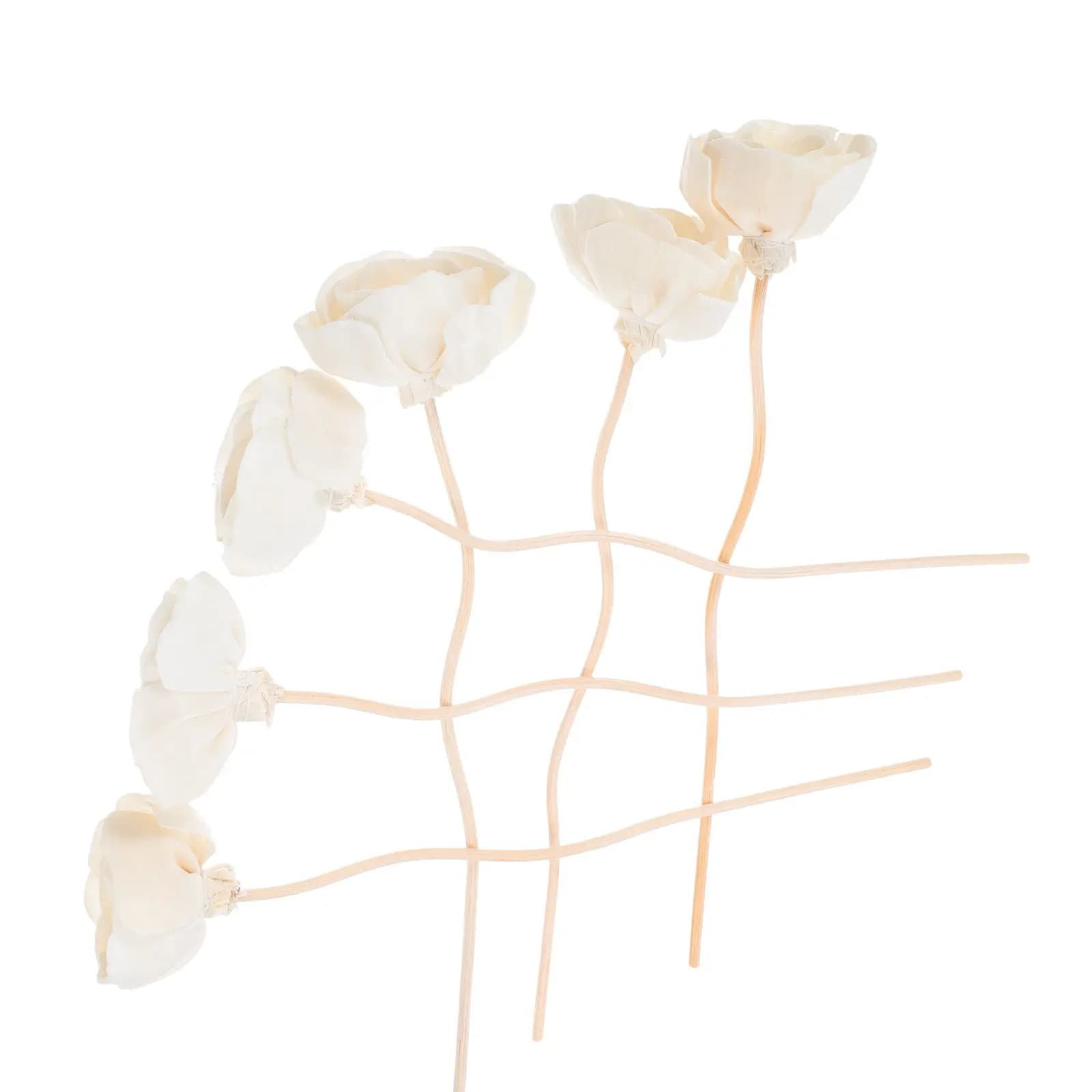 8 Pezzi Bellissimi Bastoncini Diffusori di Aromi in Legno e Rattan per Diffusione di Fragranze, Decorazione Casa, Aromaterapia Rilassante