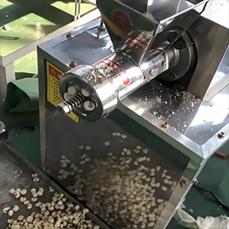 Macchina per Pasta a Forma di Conchiglia Elettrica a Prezzo di Fabbrica, Macchina per Produzione di Maccheroni