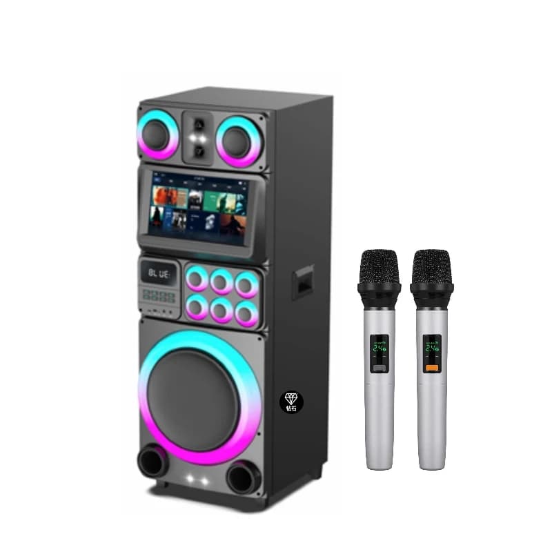 Exceptionally Well Reviewed Best Liked 15 Inch Karaoke Machine Speaker Popular Party Speaker with Flash Led
