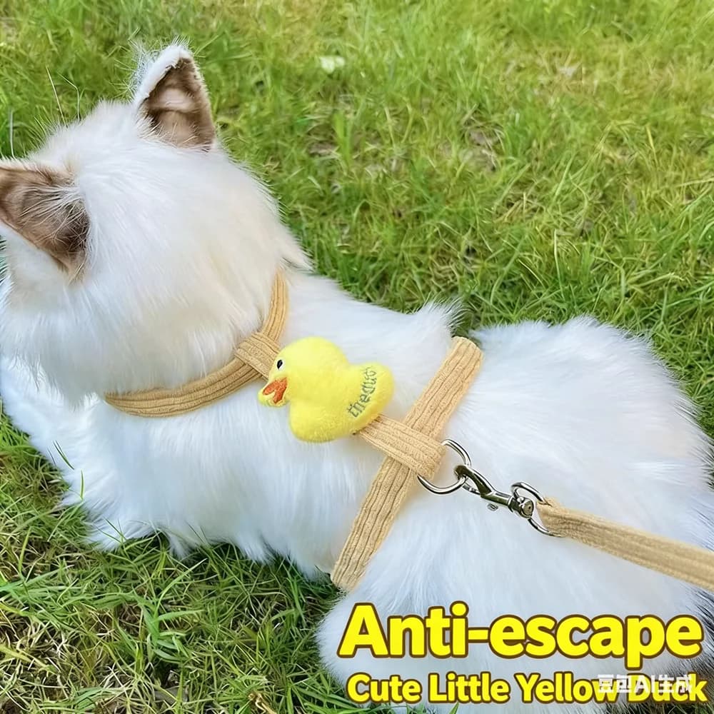 Guinzaglio per gatti e cani, per passeggiate all'aperto, regolabile, anti-fuga, per cuccioli, a forma di I, anti-smarrimento