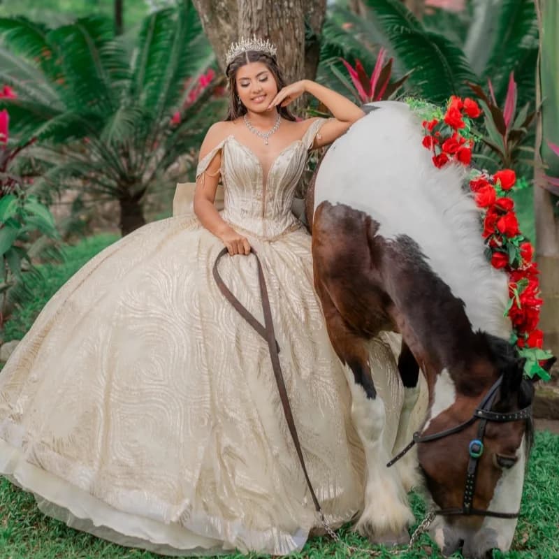 Light Champagne Quinceanera Dress Crystal Sequins Decal Long tail off-shoulder Big Bow Vestidos De 15 Quinceanera Customize
