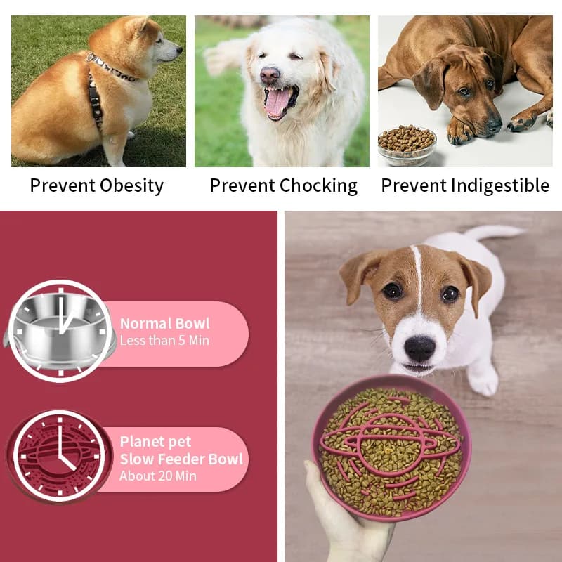 Ciotola per Cani a Lenta Alimentazione in Silicone, Piatto Anti-Soffocamento per Animali Domestici