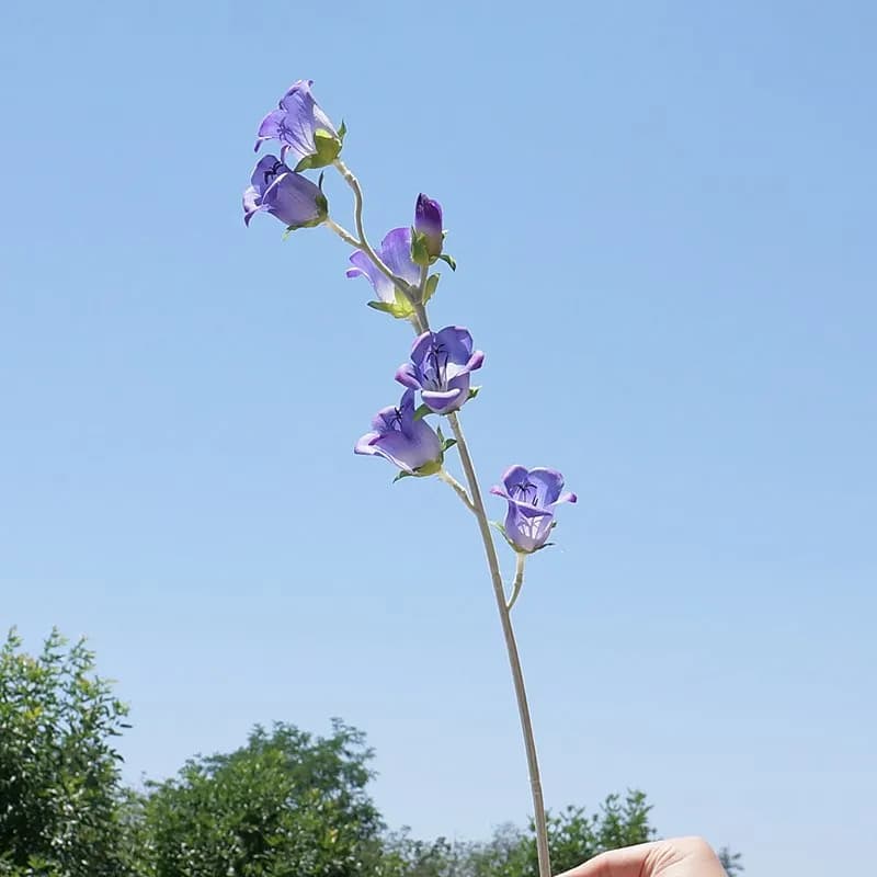 62cm Artificial Bellflower Flowers Wind Chimes Wedding Home Decoration Silk Flowers Floral Phoenix Orchid Fake Flowers